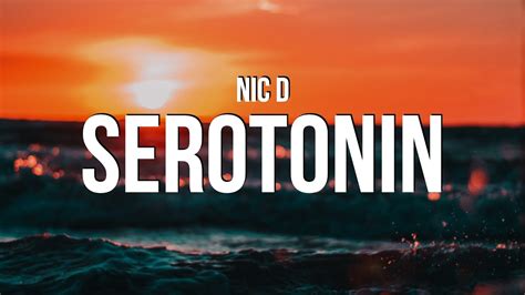 nic d albums|serotonin by nic d.